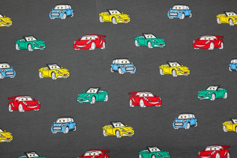 Baumwolljersey Niklas Cars - grau
