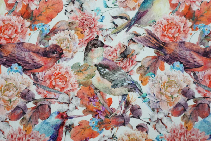 Baumwolljersey Autumn Birds