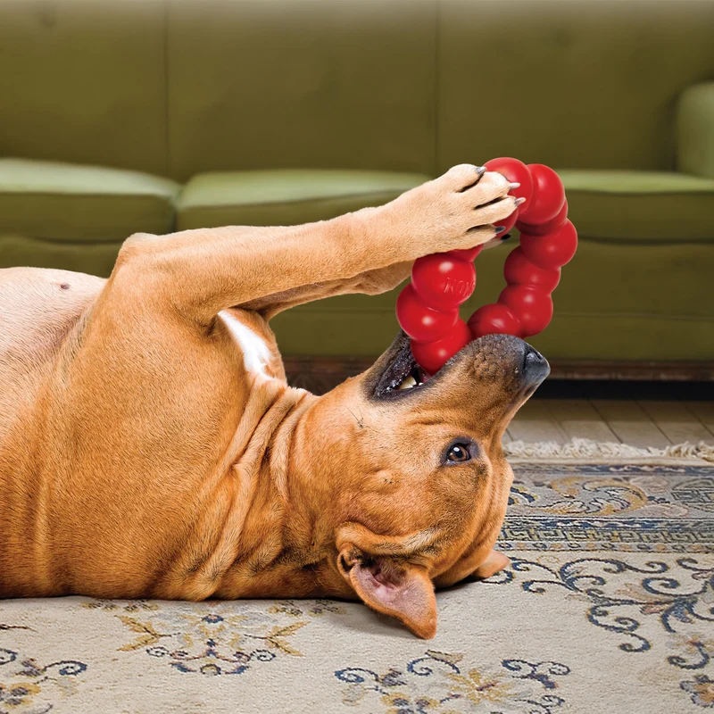 Hundespielzeug KONG® Ring