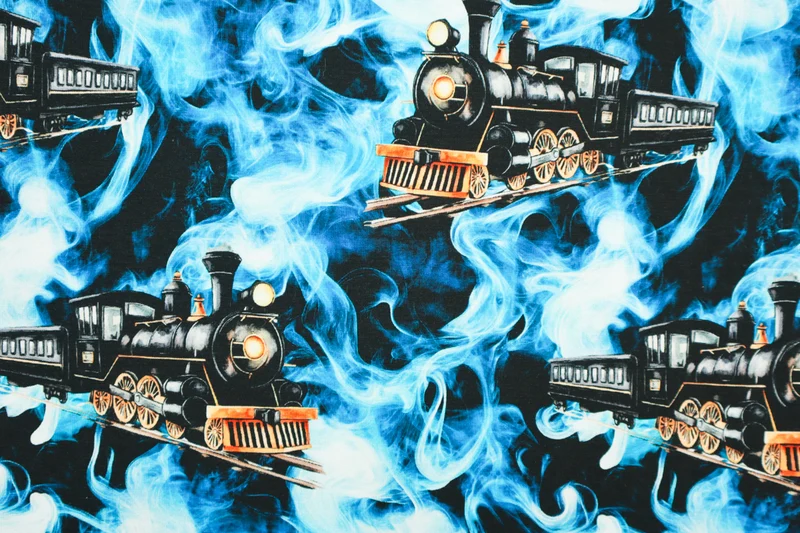 Baumwolljersey Digital North Pole Express
