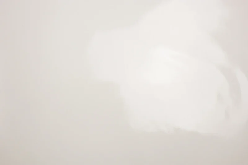Lackstoff Cathleen SH - natur