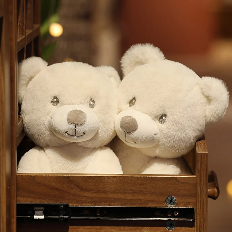 Lieblicher Schmuse Teddy Bär 25-60cm