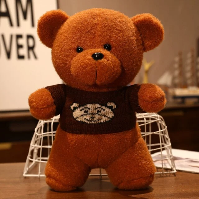 Flauschige Plüsch Teddys in 5 verschiedenen Motiven (25/35cm)