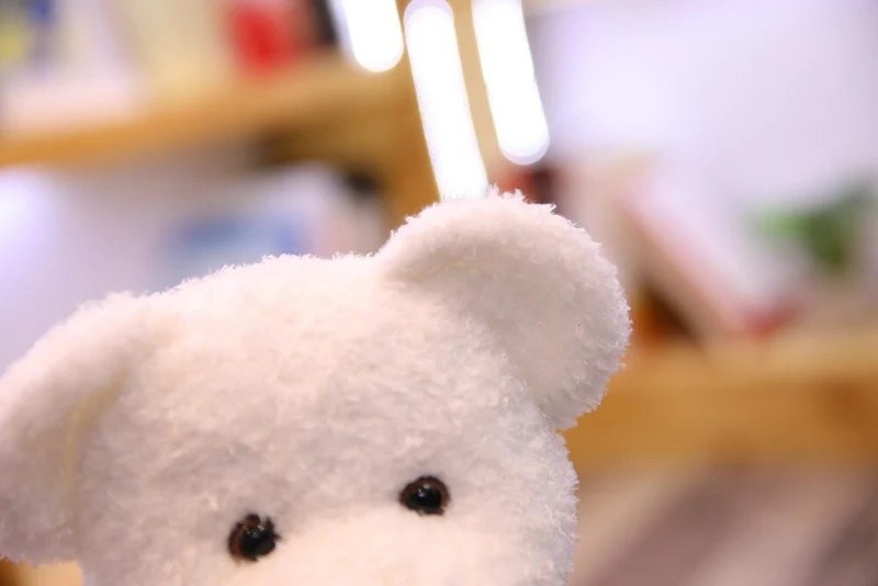 Liebliche Teddys mit Kleidung Kuscheltiere - 40cm / 50cm