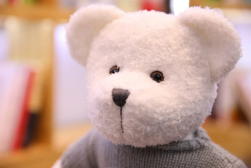 Liebliche Teddys mit Kleidung Kuscheltiere - 40cm / 50cm