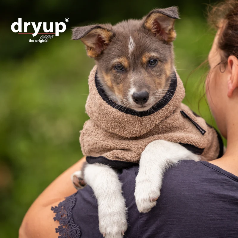 Dryup Cape Hundebademantel Mini Coffee
