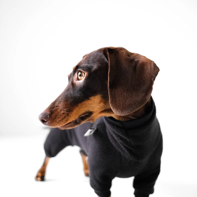 Fleece Overall für Dackel Schwarz