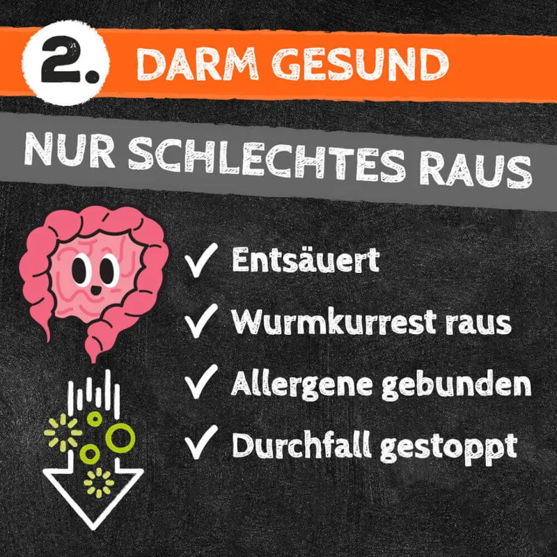 QCHEFS Zahnputzkohle