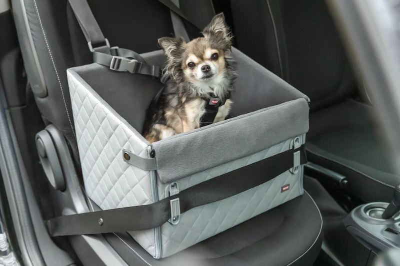 Erhöhter Autositz für Hunde mit Gurtbefestigung und Kurzleine