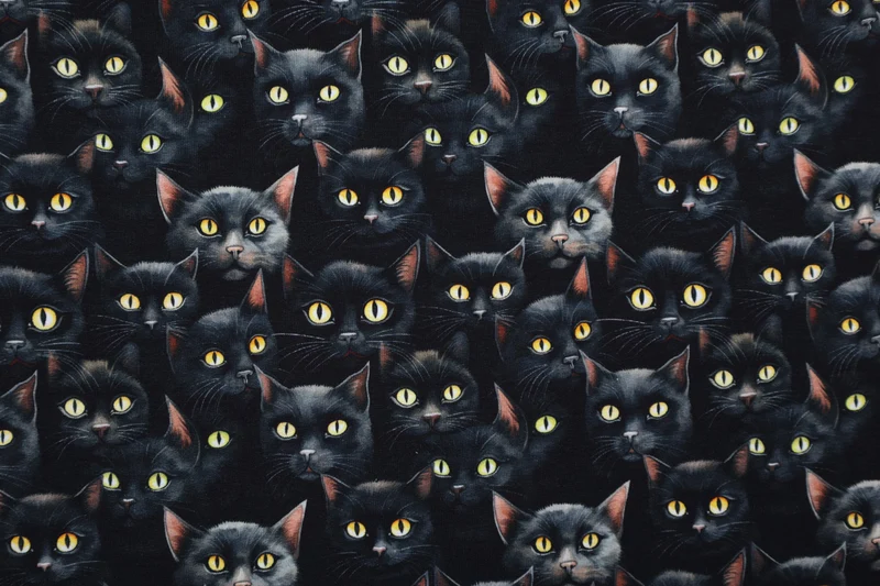 French Terry Digital Eyes on You - Black Cats