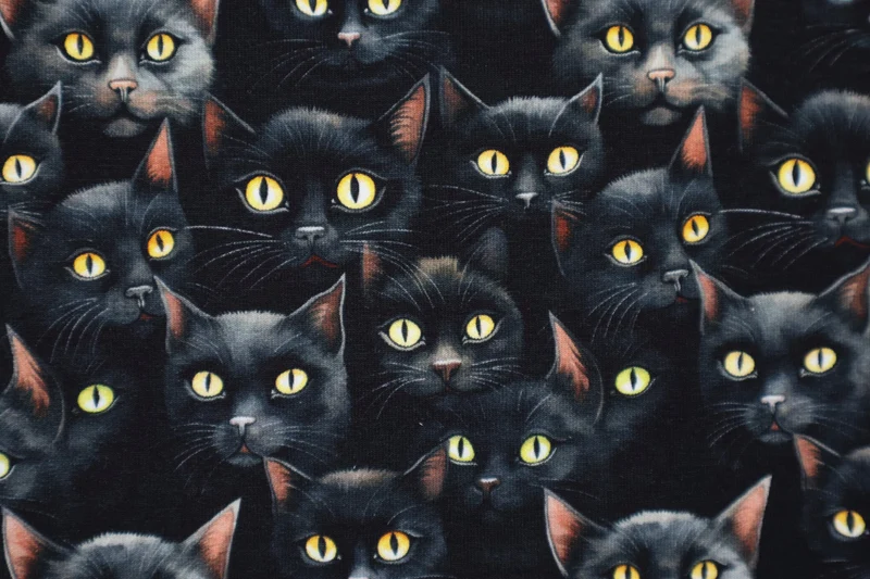 French Terry Digital Eyes on You - Black Cats