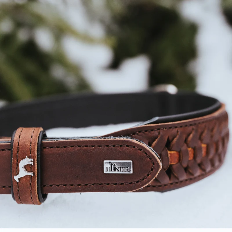Halsband Solid Education Exclusive