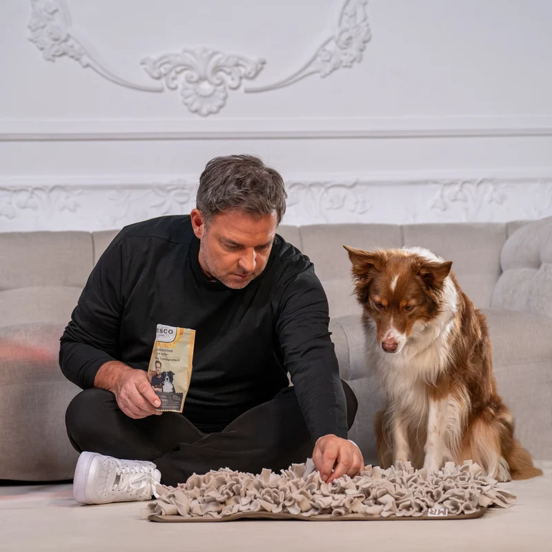 Schnüffelteppich für Hunde