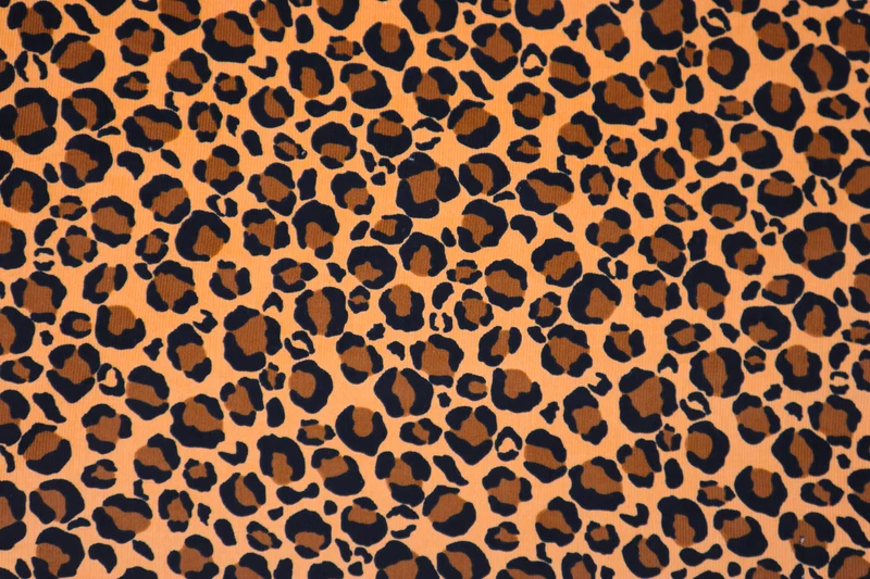 Feincord Leoprint Design 1