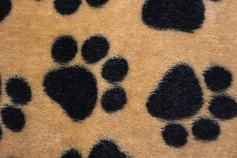 Wellnessfleece Kleine Pfoten - camel
