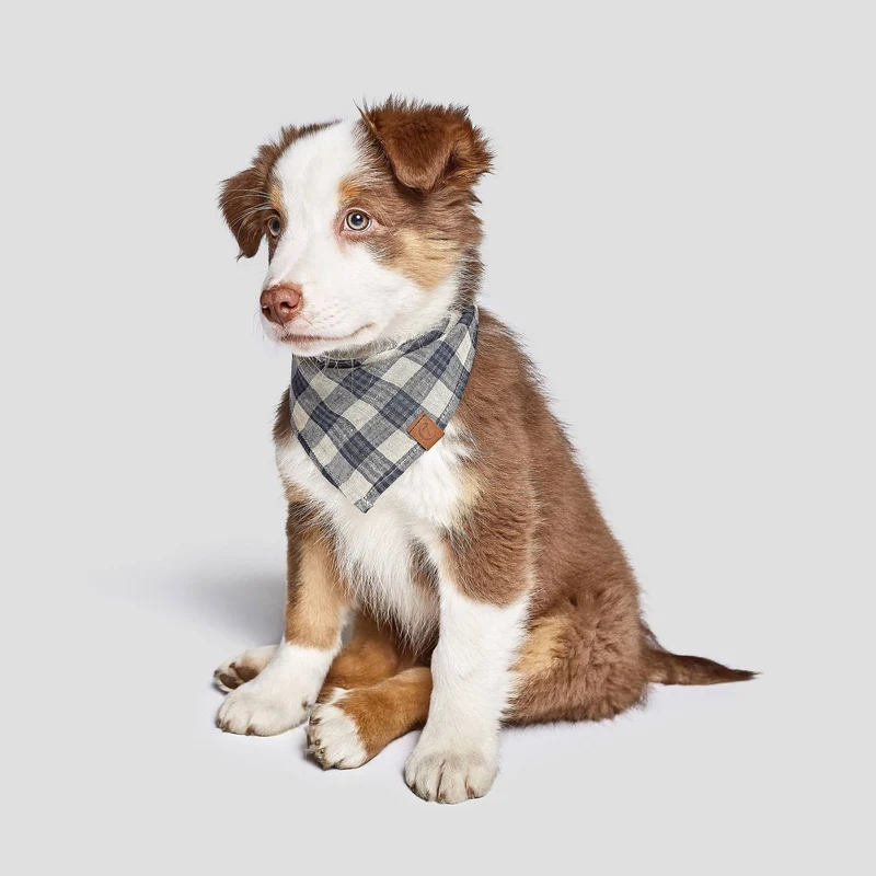 Hundehalstuch Bandana Check Dark Blue - Beige