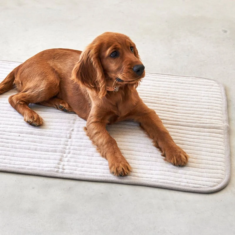 Onda Hundedecke Greige