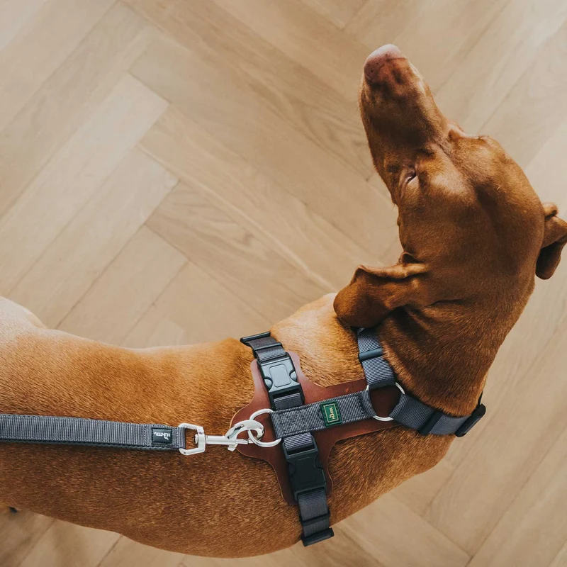 Geschirr Aalborg Mixed