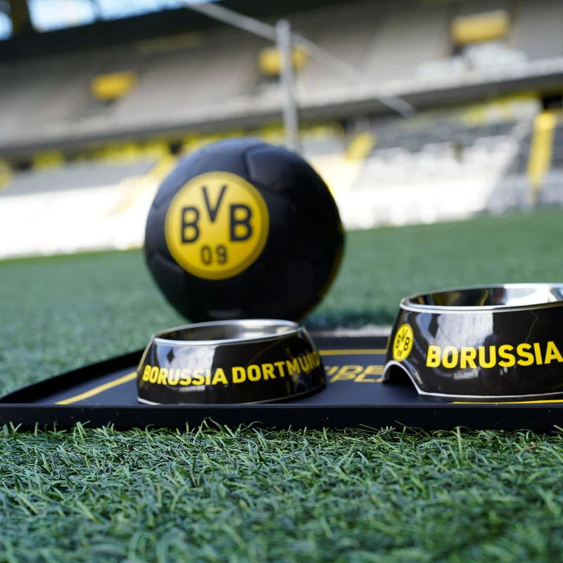 Melamin-Napf BVB