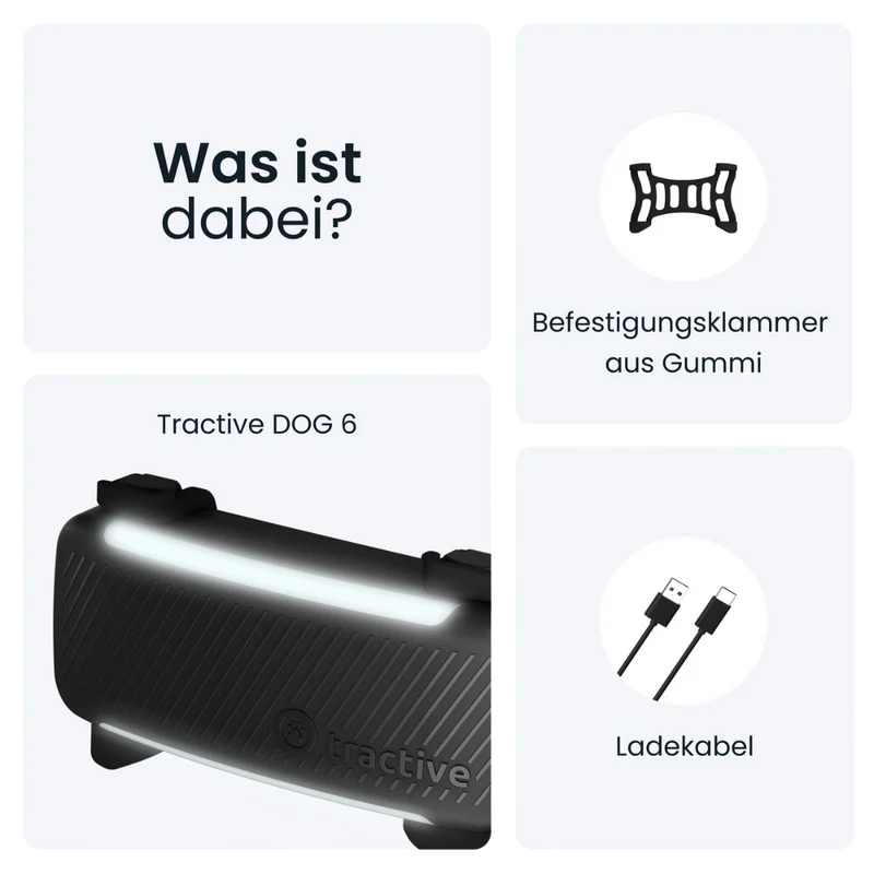 GPS Tracker Tractive Dog 6