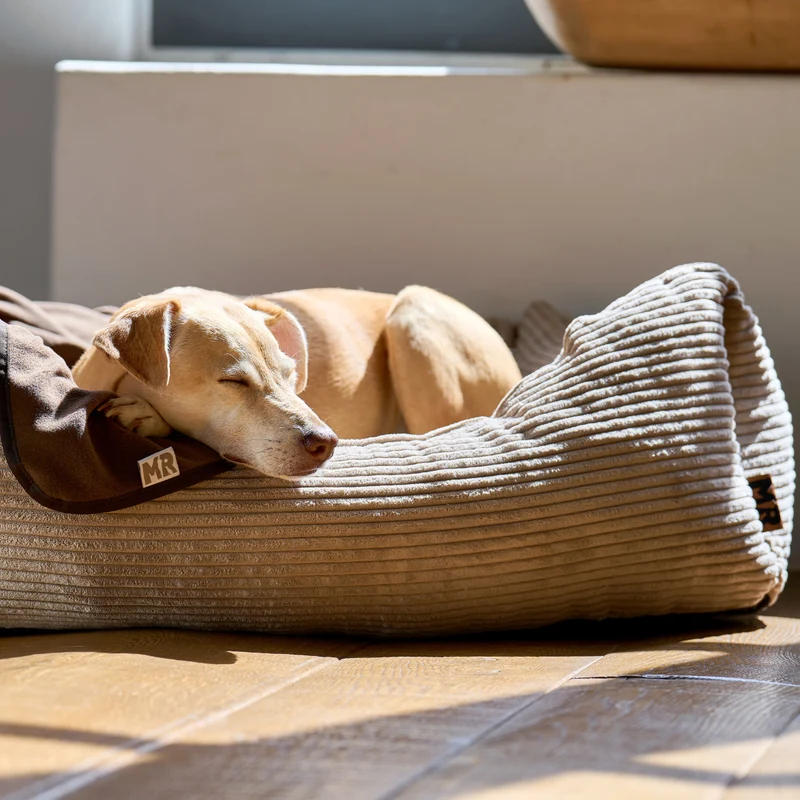 Hundebett mit Wendekissen Cozycord