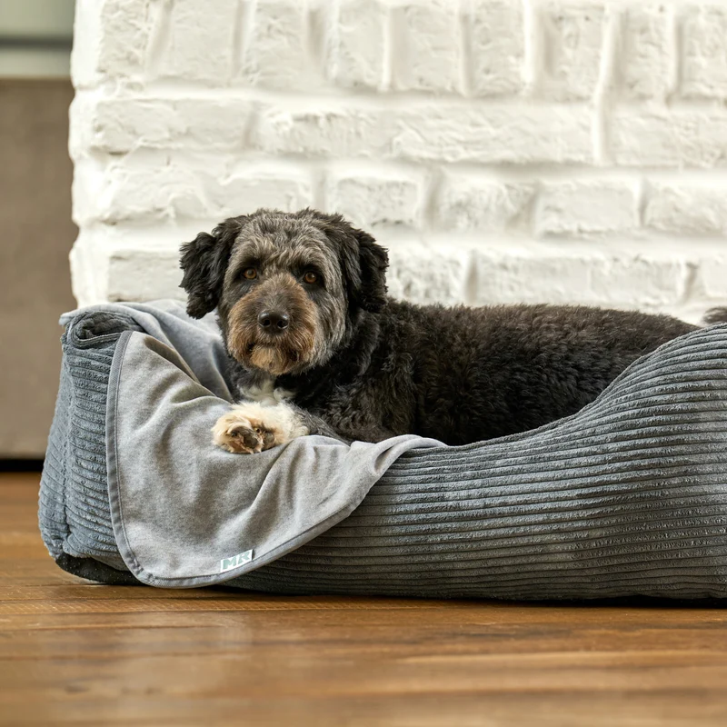 Hundebett mit Wendekissen Cozycord