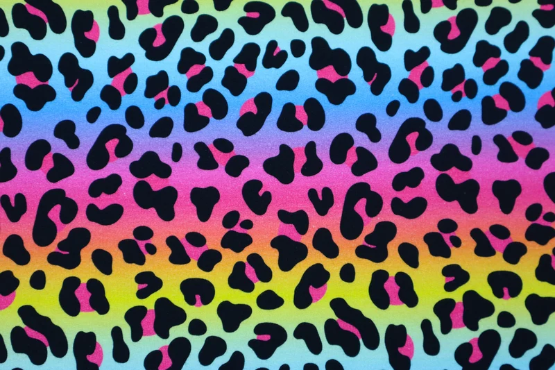 French Terry Digital Rainbow Leo - Design 1