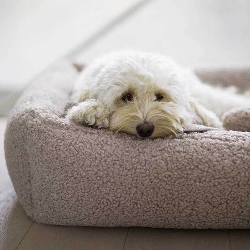 Senso Hundebett Greige