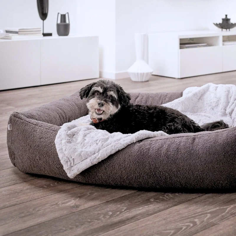 Hundebett Teddy Bouclé Ortho oder Classic Grey
