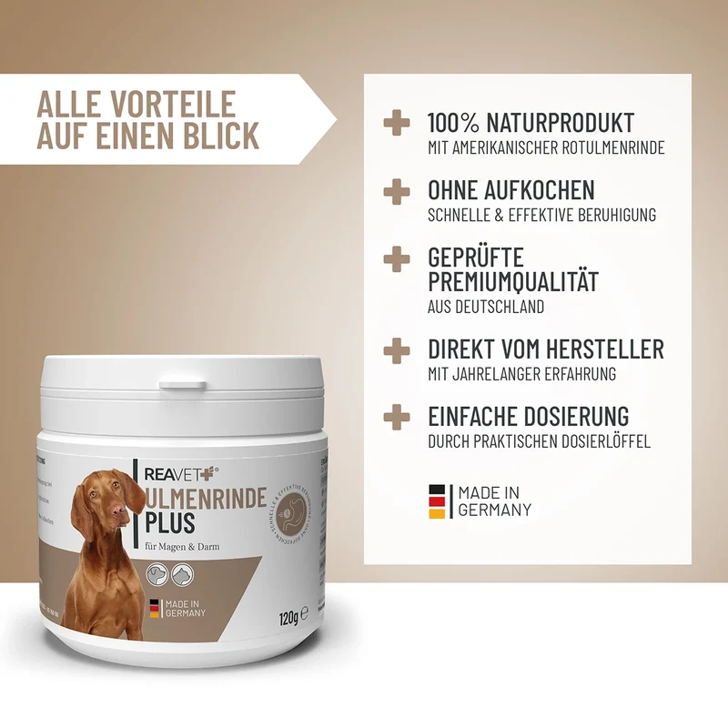 Ulmenrinde Plus