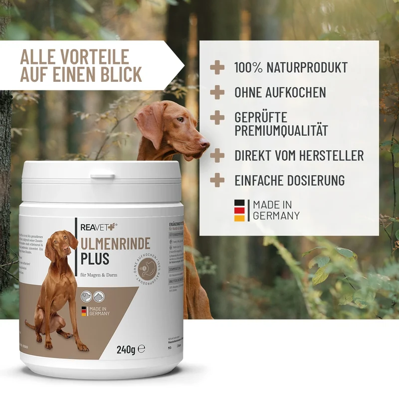 Ulmenrinde Plus
