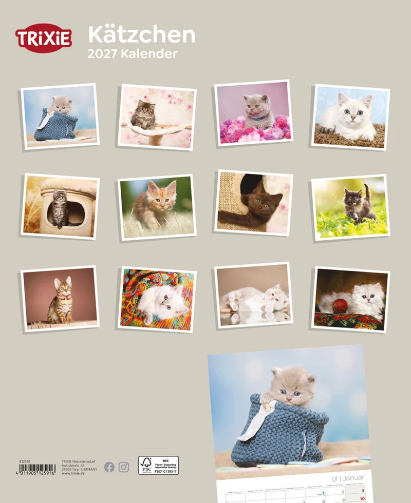 Kalender Kätzchen