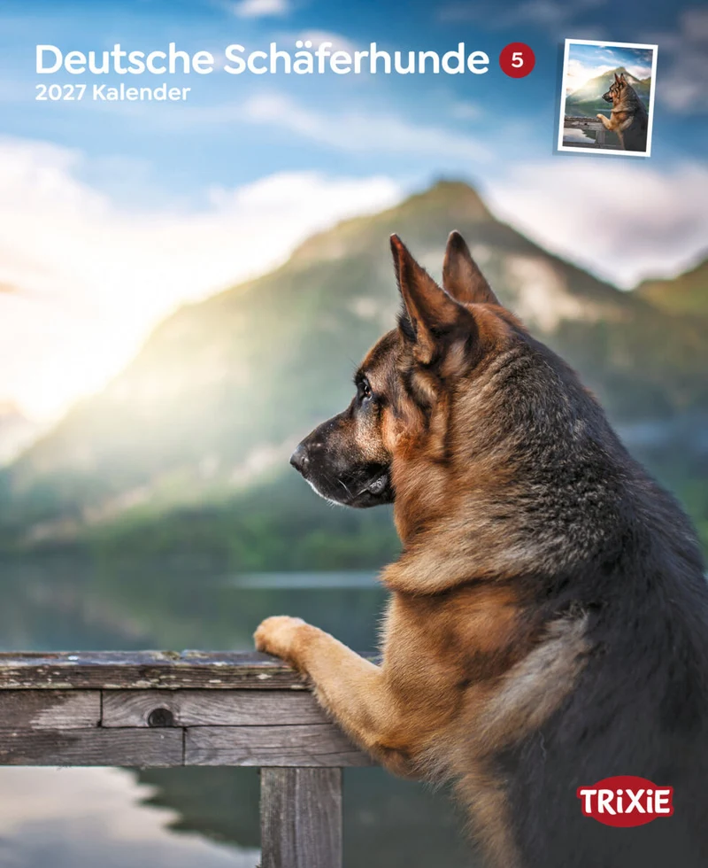 Kalender Deutsche Schäferhunde
