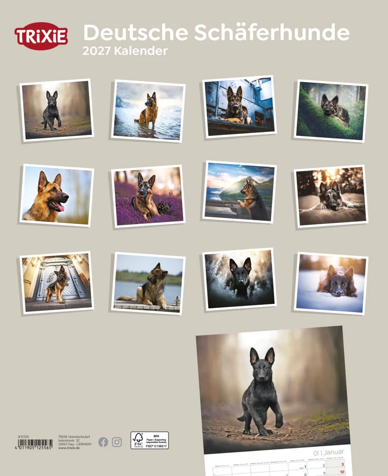 Kalender Deutsche Schäferhunde