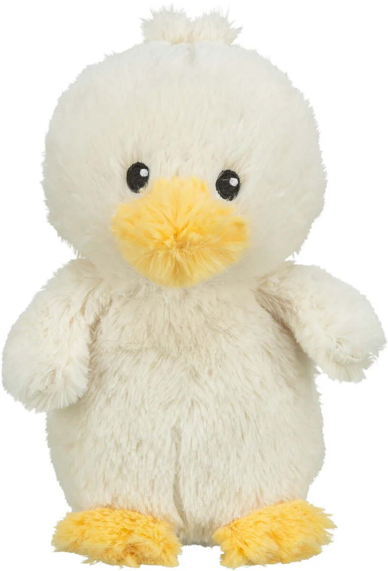Küken