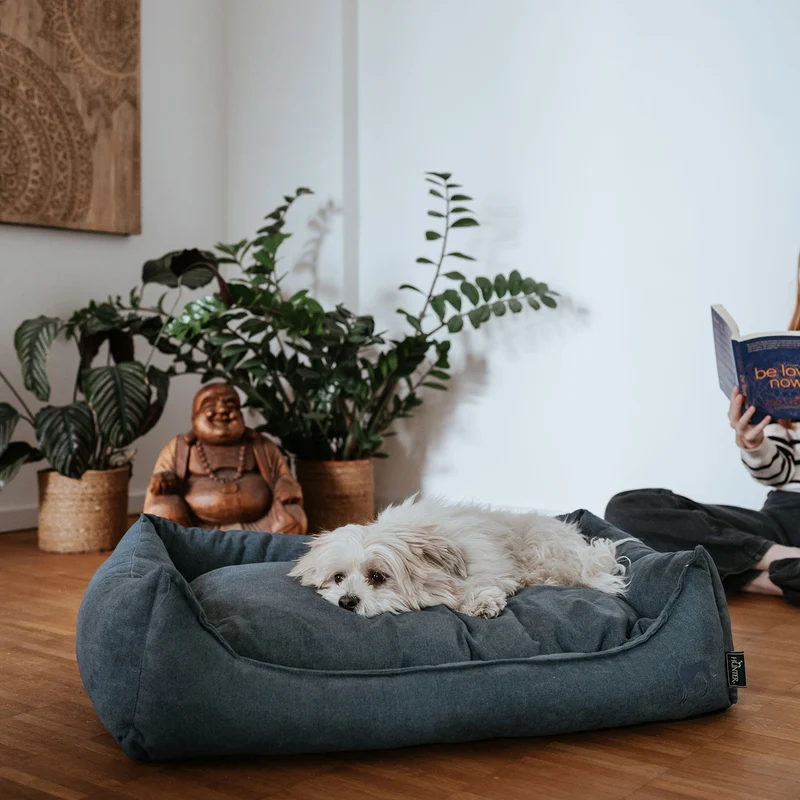 Hundesofa Eiby