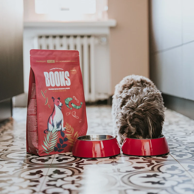 Hundefutter Boons Lachs (für ausgewachsene Hunde kleiner Rassen)