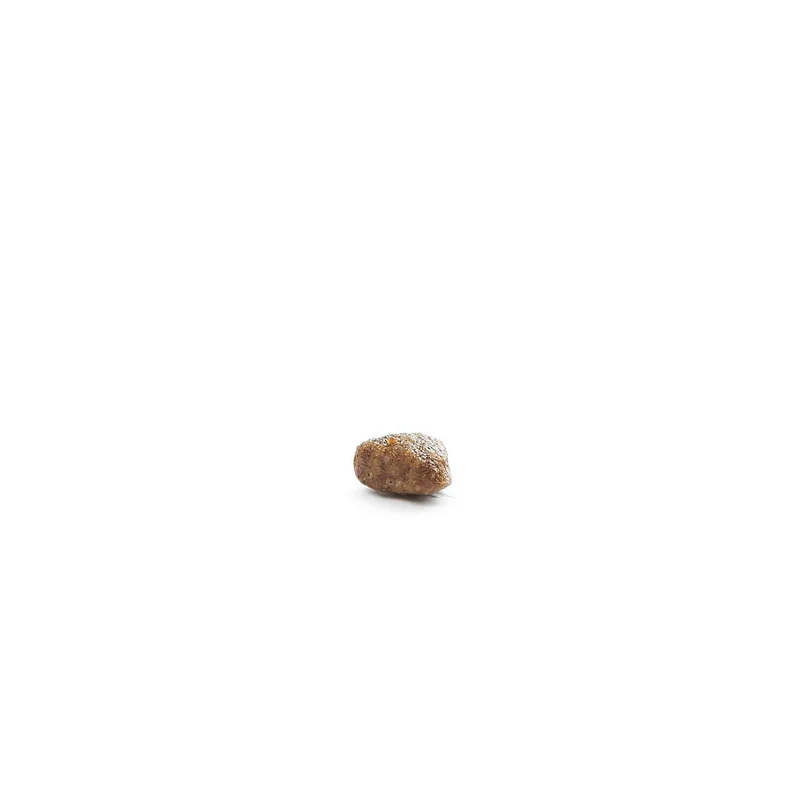 Hundefutter Boons Lamm (für ausgewachsene Hunde kleiner Rassen)