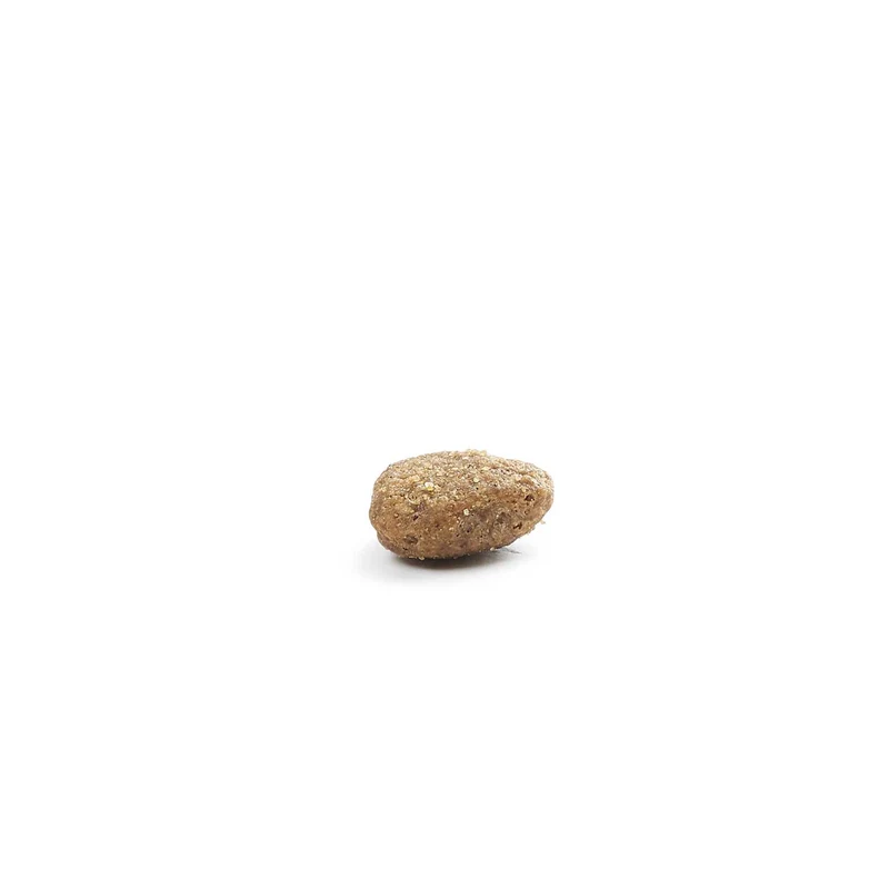 Hundefutter Boons Pute (für ältere Hunde)