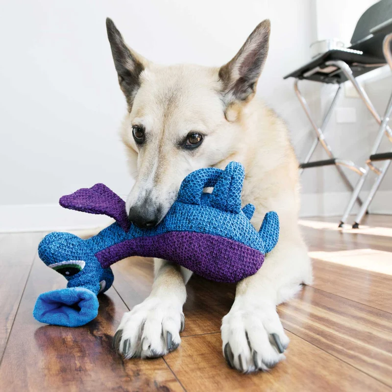 Hundespielzeug KONG® Woozles