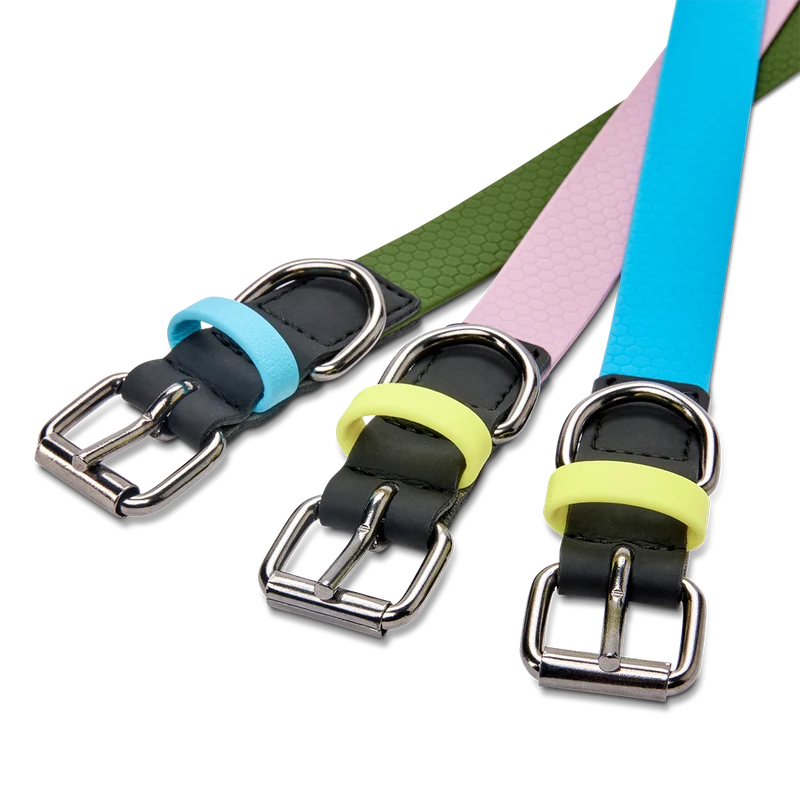Hundehalsband mit veganem Apfelleder Khaki