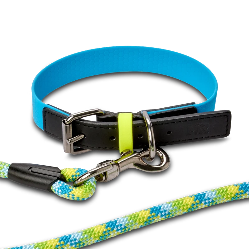 Hundehalsband mit veganem Apfelleder Cyanblau