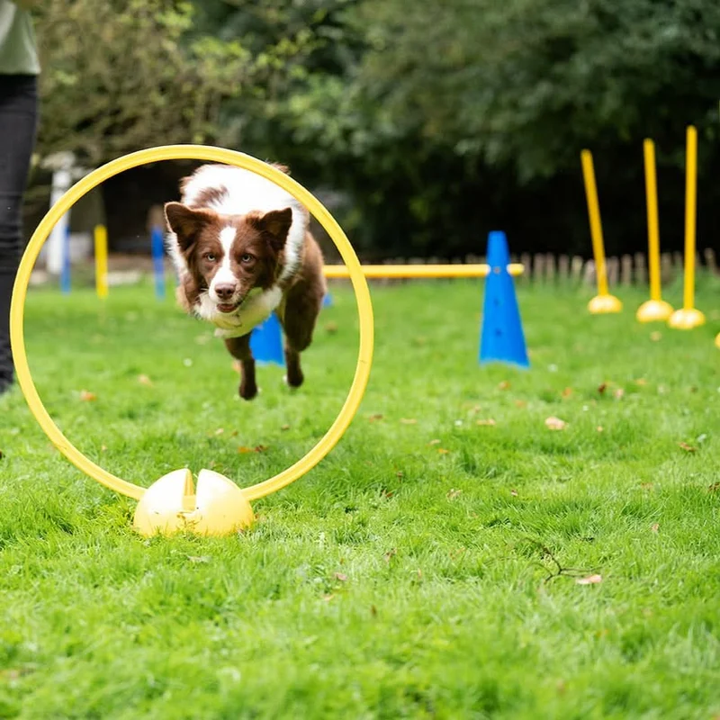 Agility Slalom- & Hürdenset 15-teilig
