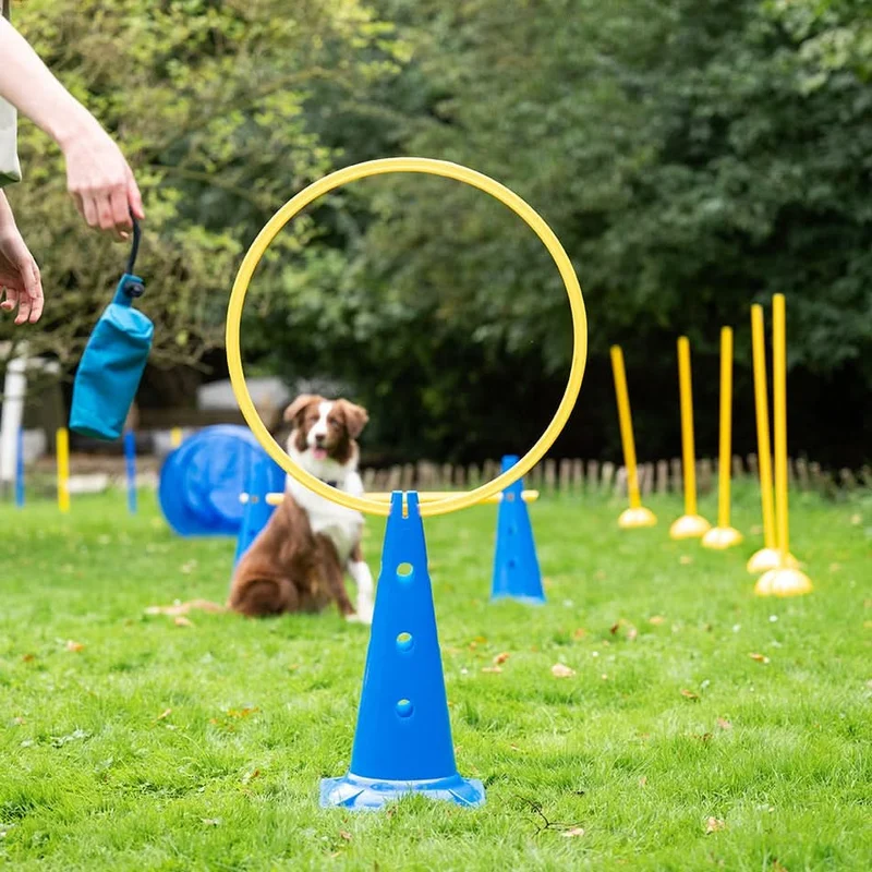 Agility Slalom- & Hürdenset 15-teilig