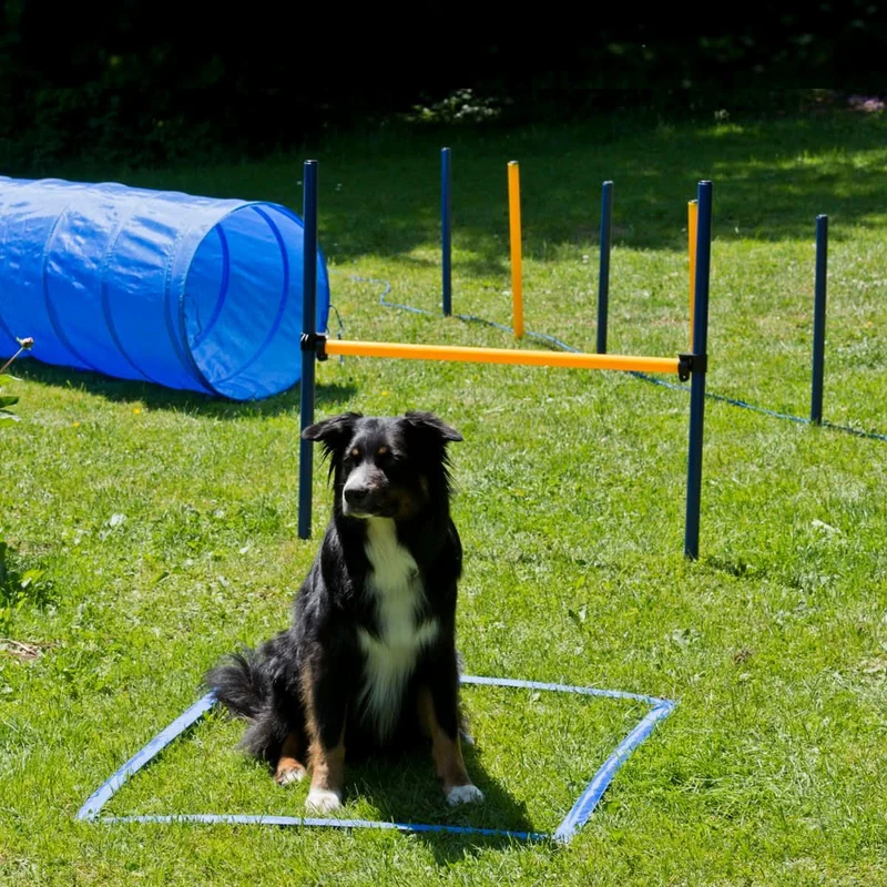 Agility Starter-Trainingsset 9-teilig