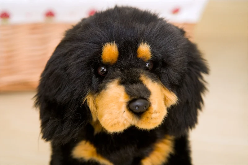 Niedliche Malteser Plüsch Hunde Stofftier