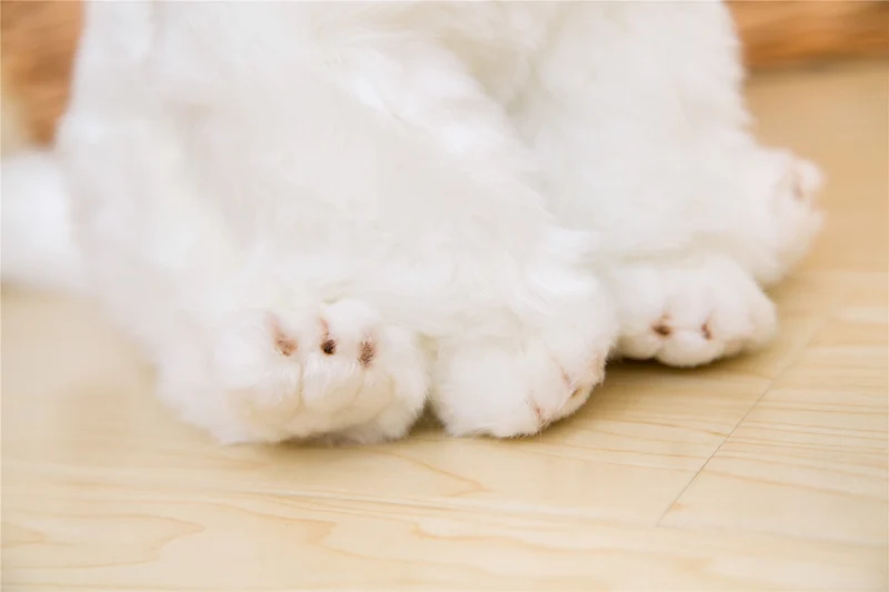 Niedliche Malteser Plüsch Hunde Stofftier