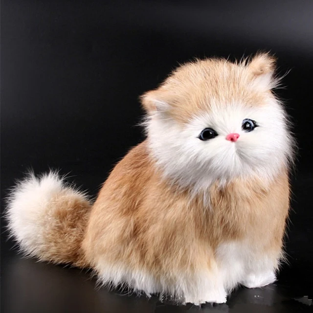 Süße Kuschelkatzen mit Miaaaaow