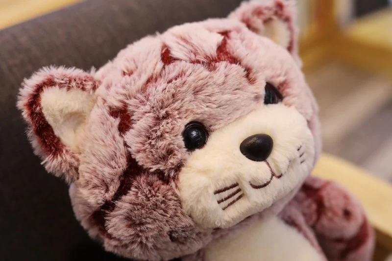 Kawaii Plüsch Katzen Stofftiere (50cm - 90cm)