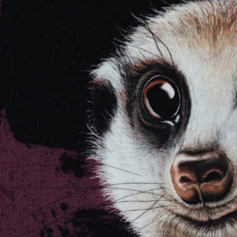 Panel French Terry Stay Curious by Thorsten Berger